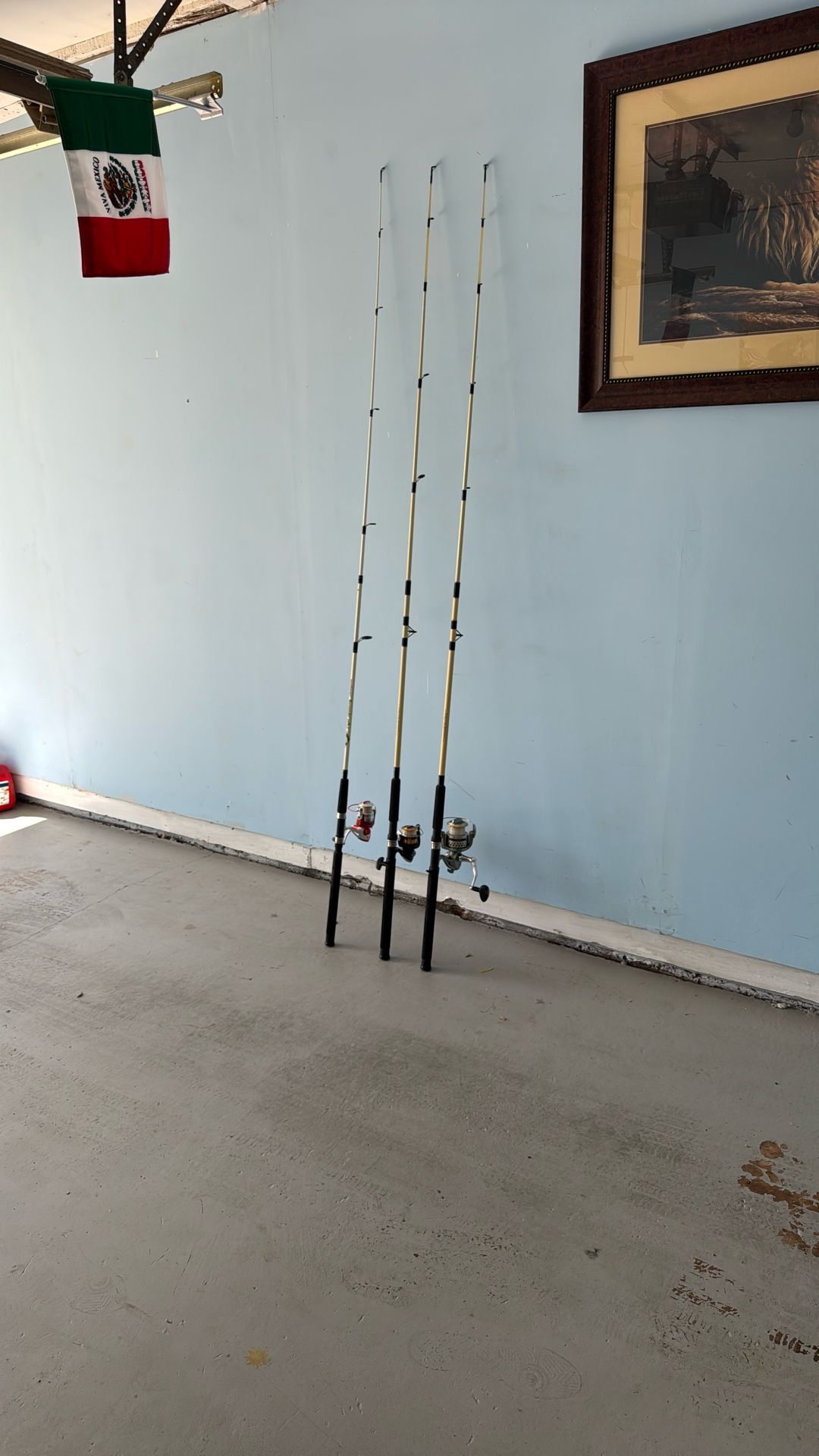 Fishing 🎣 Rods