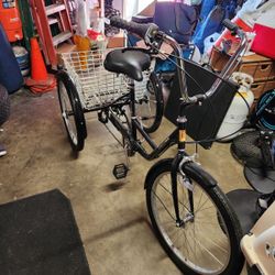 Tricycle Brand New