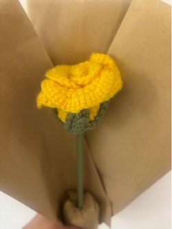 Yellow rose