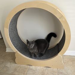 Large Wood Cat Exercise Wheel