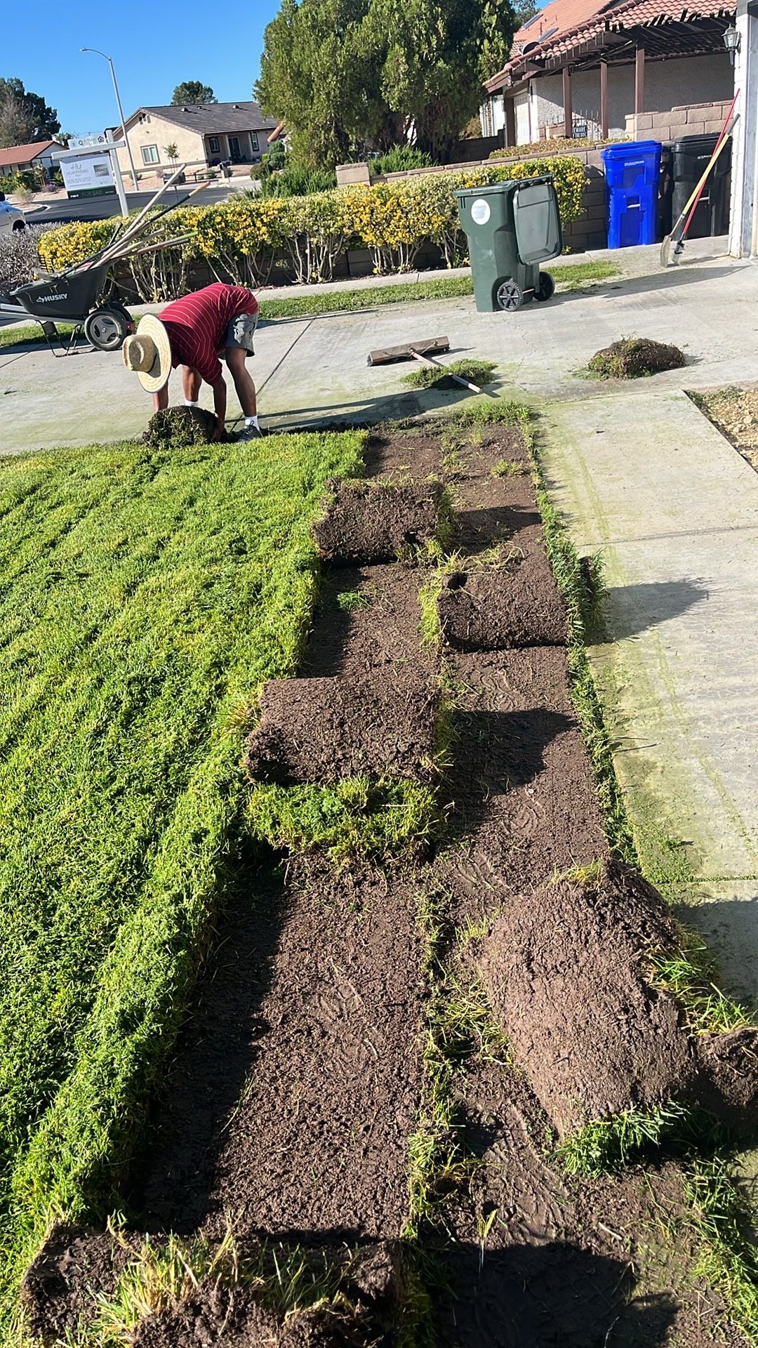 Grass Removal - Se Remuebe Pasto