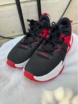 Nike LeBron Witness 7 Basketball shoes - Bred size 12