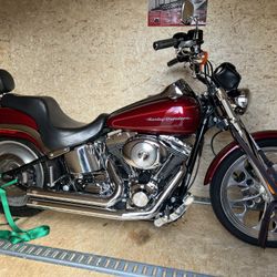2001 FXSTD Softail Deuce
