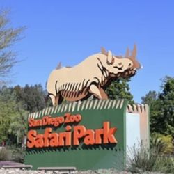 Safari Park 