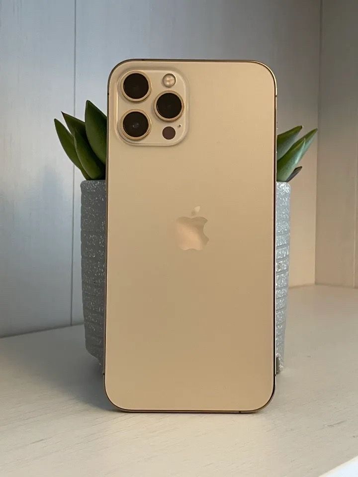 12 pro max