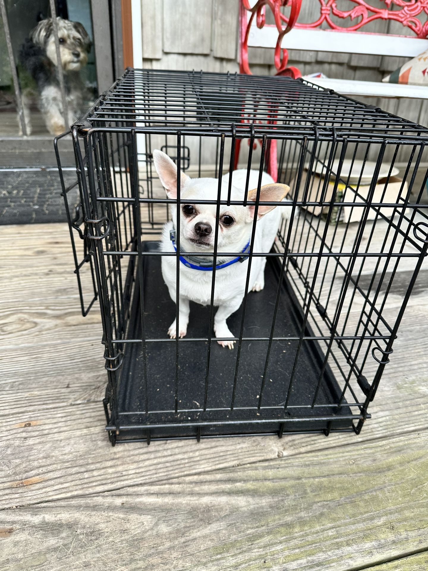 Small Animal Cage for Sale in Shirley, NY OfferUp