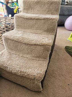 Pet steps