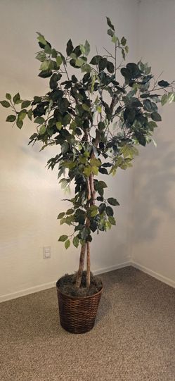 6ft artificial ficus tree