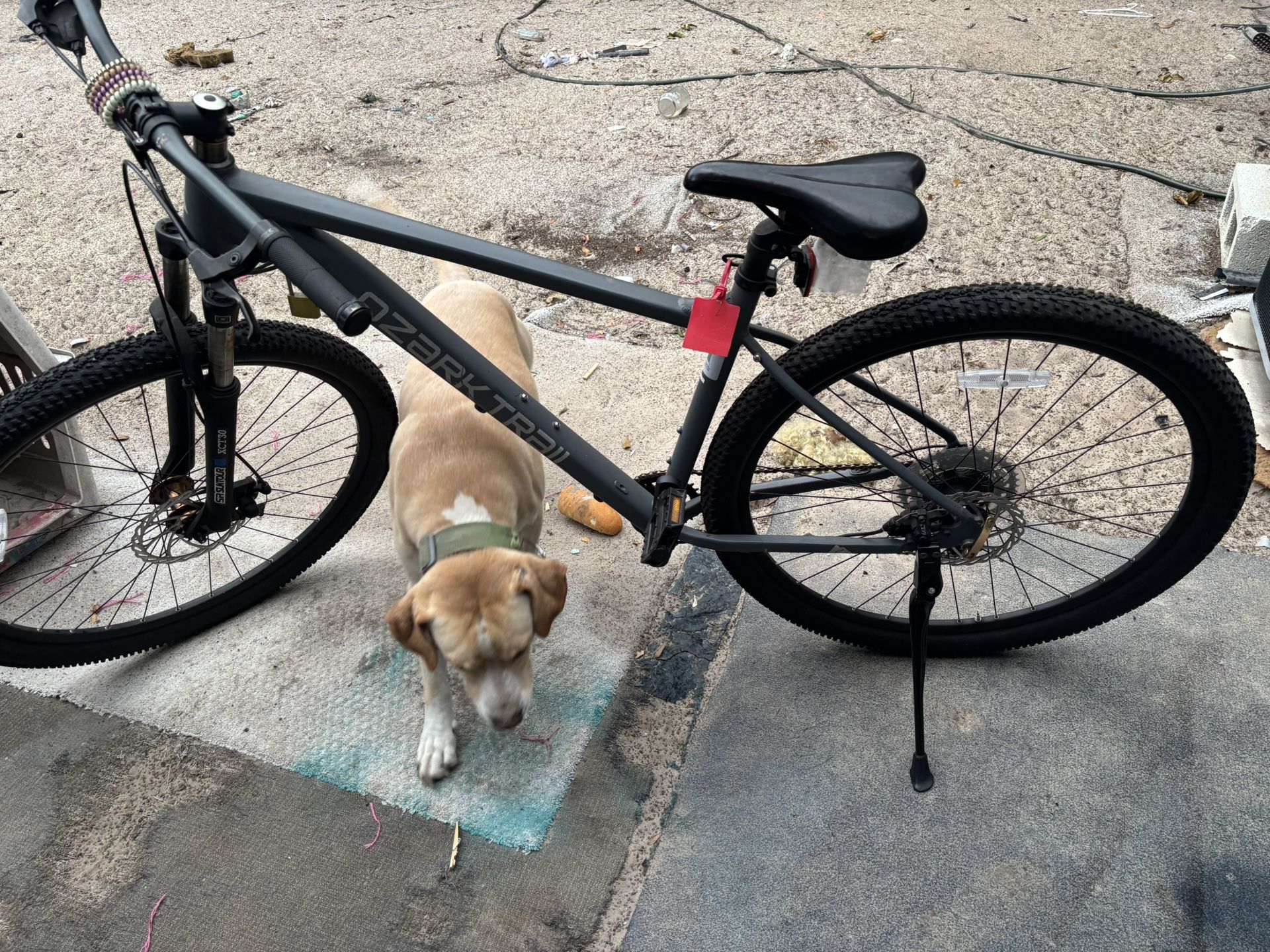 Ozark Trail Bike