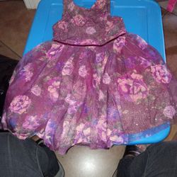 Sparkle Floral Girls Dress (4T)