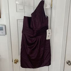 Plum David bridals dress