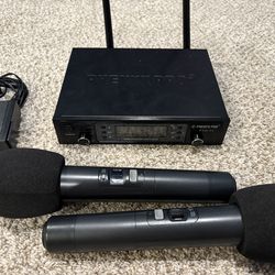 Phenyxpro PTU-71 wireless microphone set