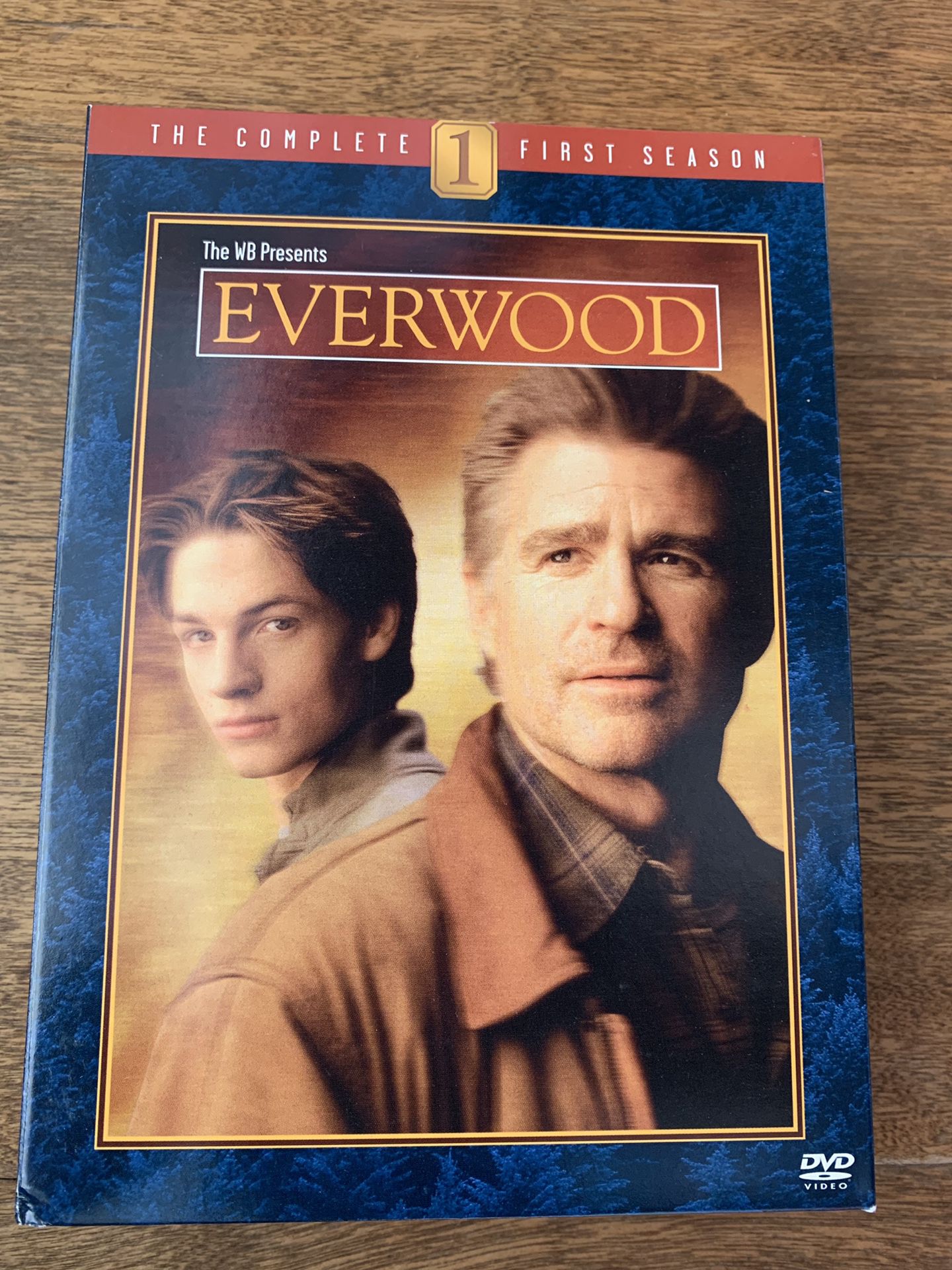 Everwood season 1