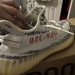 Yeezy Zebra 350