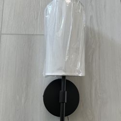 New $30 Wall Light