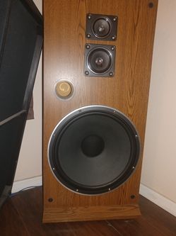 Vintage 15" floor speakers, by Realistic.