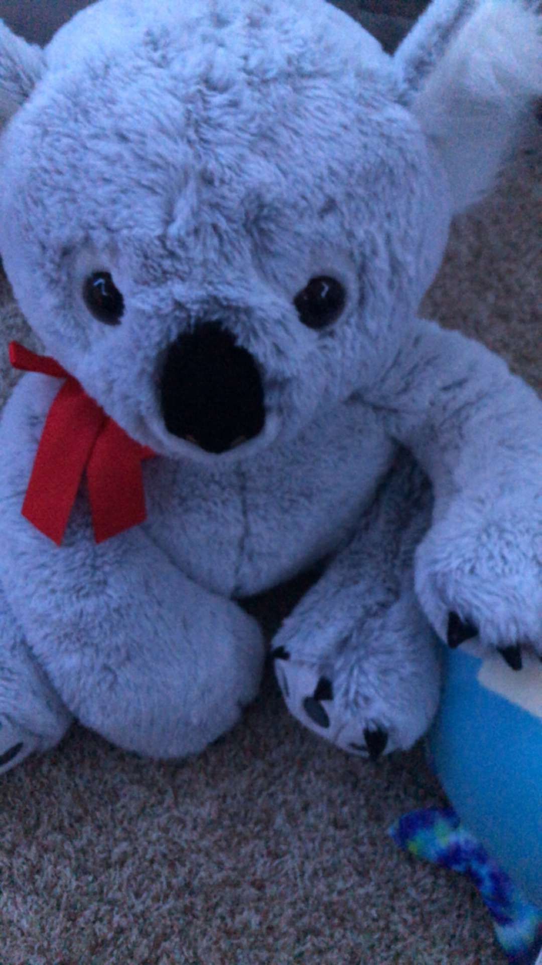 Valentines Koala Stuffed Animal