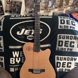 Godin A-12 Acoustic/electric Guitar
