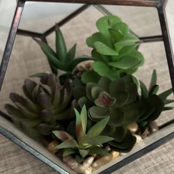 Artificial Succulent