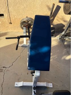 Back rows machine