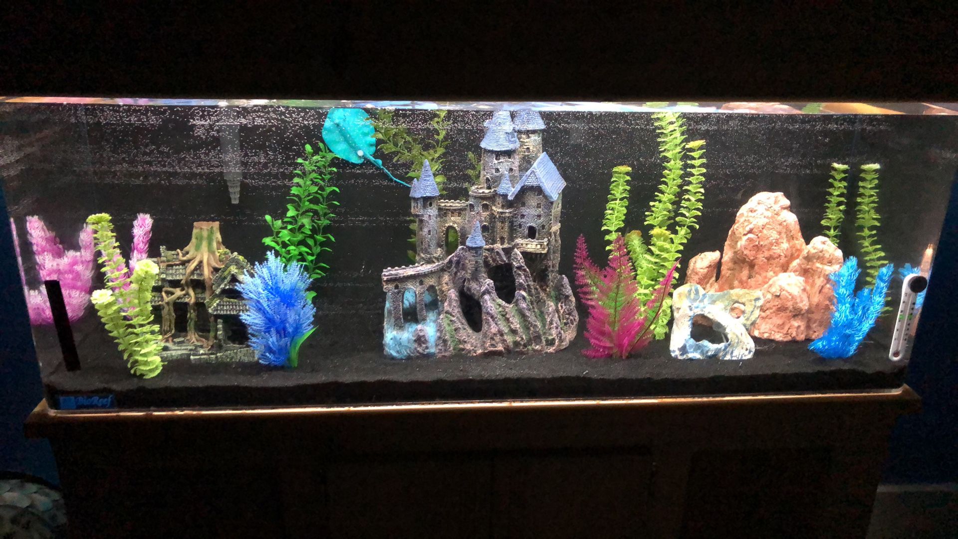 55 Gallon Acrylic Aquarium with 75 gallon filter, food, medicine, airpump, and decorations