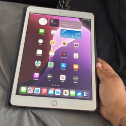 iPad (8th Gen)