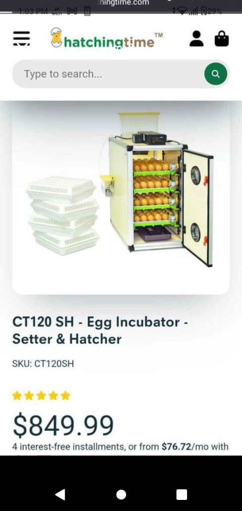 Egg Hatcher