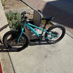 Youth Mountain Bike By Giant 