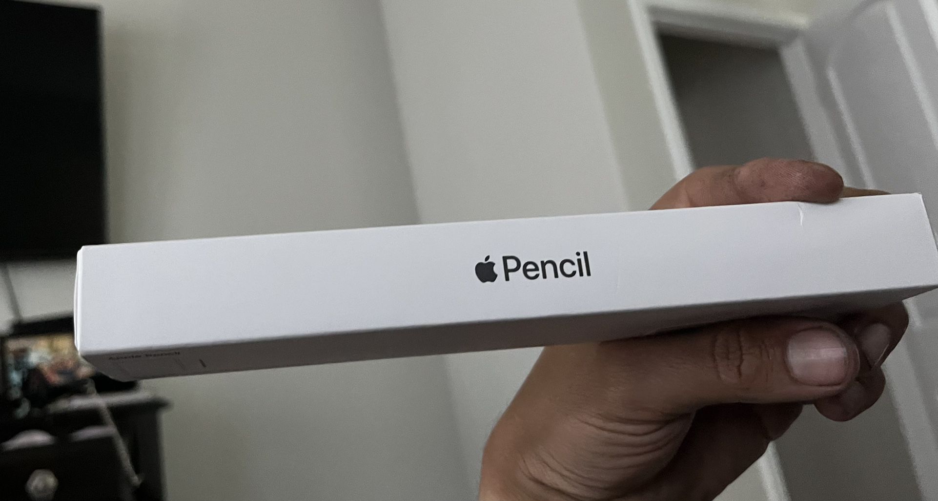 Apple Pencil  2 Gen