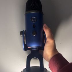 BLUE YETI MIC WORKS PERFECT