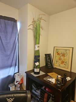 $60 Fake Plant Never Used! 