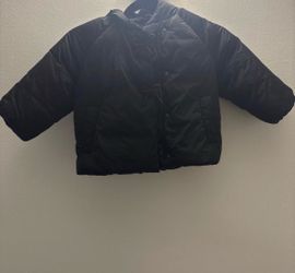 Black puffer