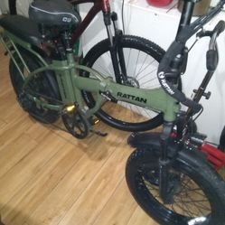 Rattan Folding Electric Bike 