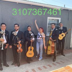 Trompeta Vihuela De Mariachi 