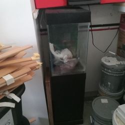 Vertical Fishtank