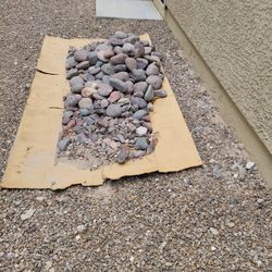 Medium 6 Inch River Rock