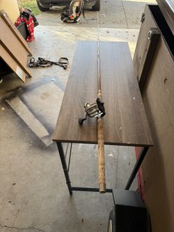 Fishing Rod And Reel 