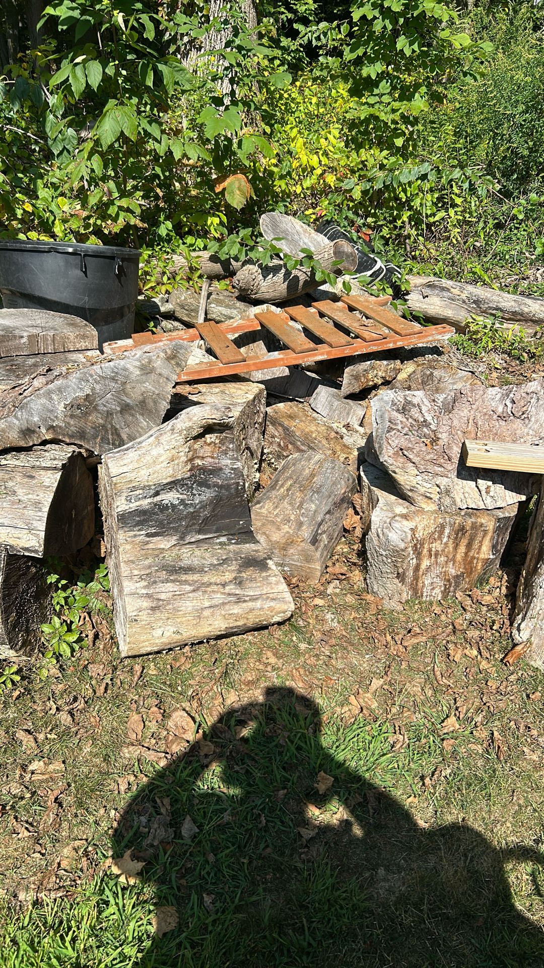 Free FireWood Maple Cut Up 