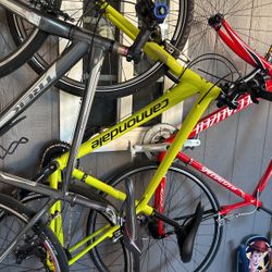 Bikes For Sale