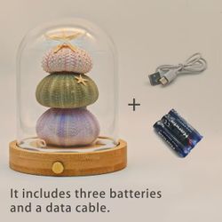 Sea Urchin Night Light – Cute & Cozy LED Lamp