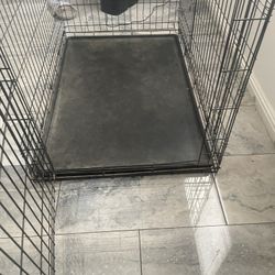 Dog Kennel