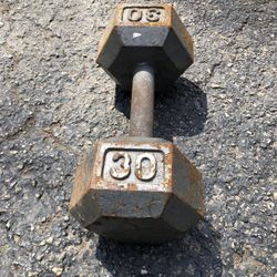 Dumbbell 30Lbs 