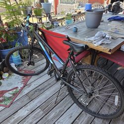 Mountain Bike