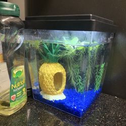 Small Fish Tank With Light And Filter