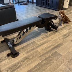 REP FITNESS BENCH!! Ab-3000