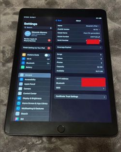 iPad