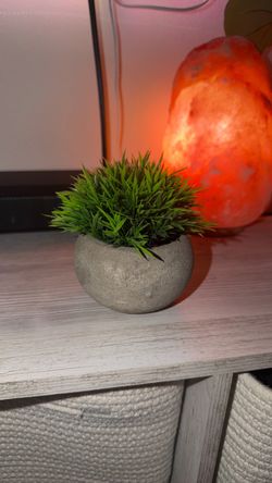 Mini Faux Grass Plant in Cement Pot