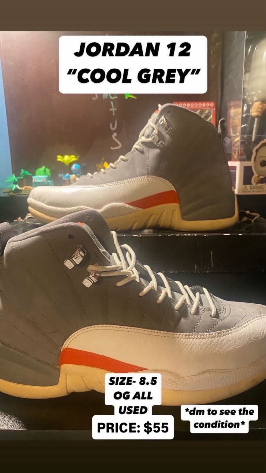 JORDAN 12 COOL GREY