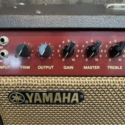 Yamaha DG100-212 Guitar Amp 100W
