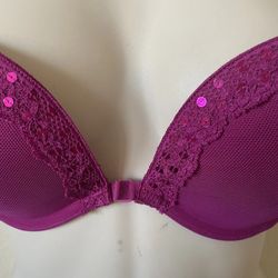 Aerie Scarlet Sequin Lace Trim Plunge Push Up Bra Size 36B lingerie womens